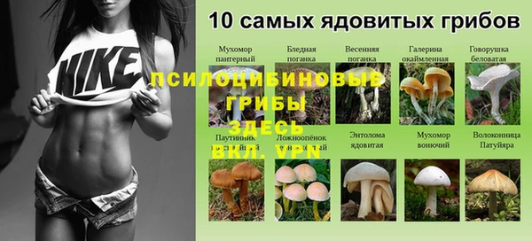 спиды Кулебаки