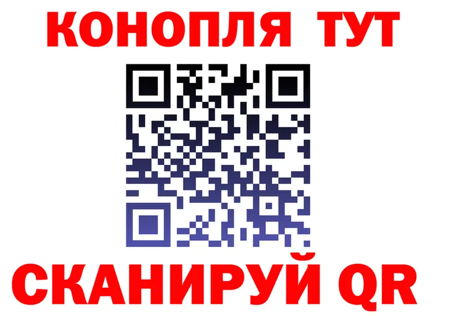 Alfa_PVP СК КРИС вход площадка OMG Пересвет